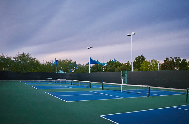 Discovering the Best Pickleball Spots in Downtown Core