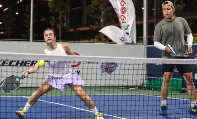 Pickleball Court in Huazhou